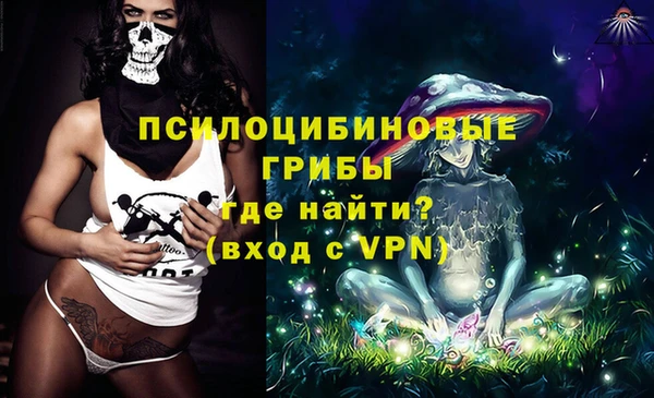 крисы Абаза