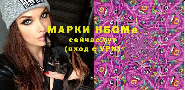 крисы Абаза