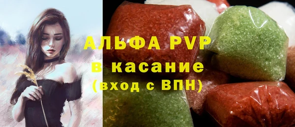 крисы Абаза