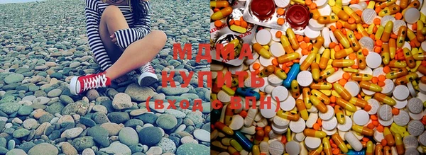 крисы Абаза
