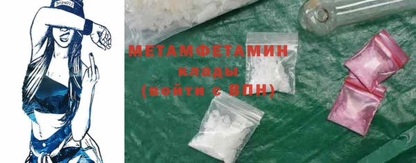 крисы Абаза